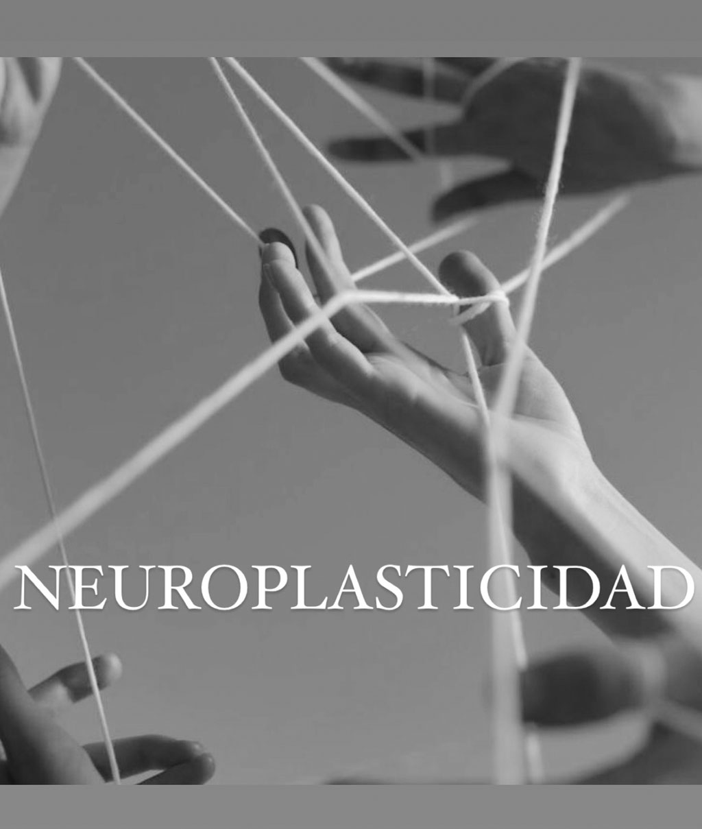 Neuraplasticidad